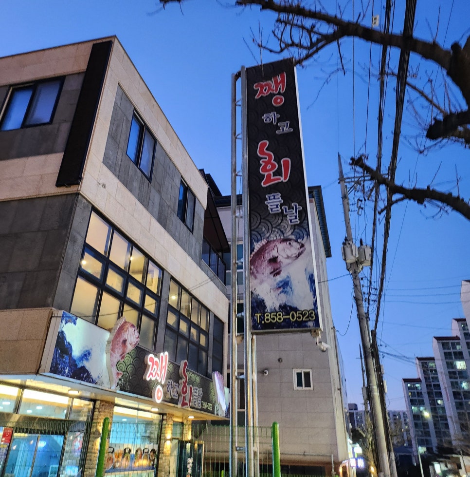 쨍하고회뜰날 사진 1