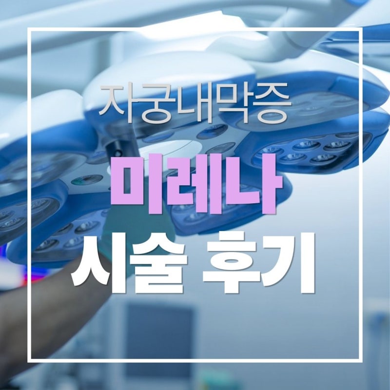 자궁내막증 미레나 시술후기