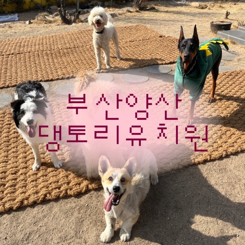 사진 3
