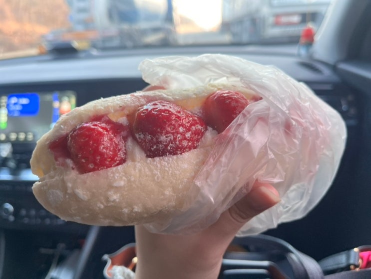  [임신 일기] 대전 성심당에서 산 빵들 자랑 (임산부 프리패스 최고…)