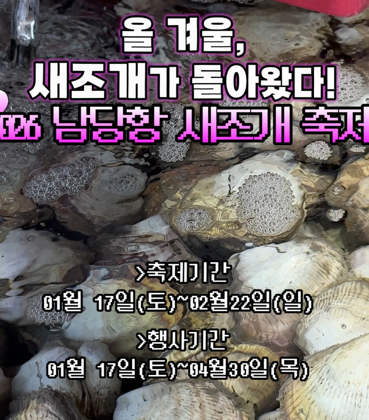 [남당항 새조개축제] 4월까지 쭉! 2월 제철 새조개 가격 & 맛집 정리 : 네이버 블로그