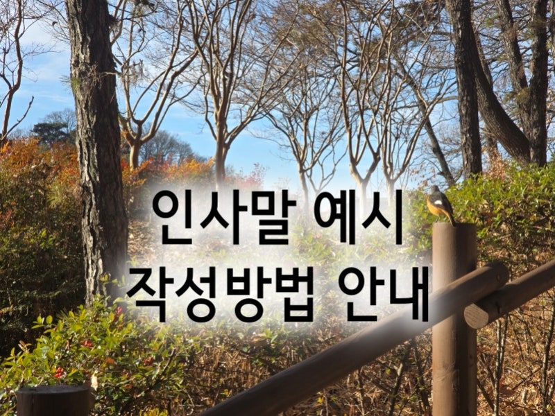 동창회 모임 인사말 걱정을 예시로 해결