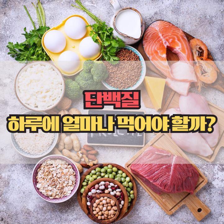  적게 먹어도 문제, 많이 먹어도 문제? 하루 단백질 섭취량 정리