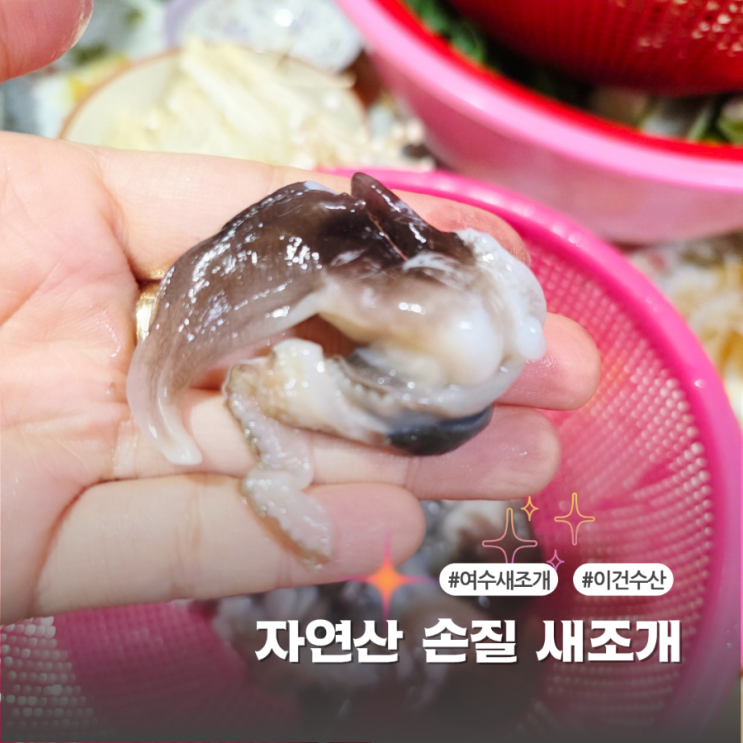  이건수산 여수새조개 집에서 즐기는 자연산 새조개