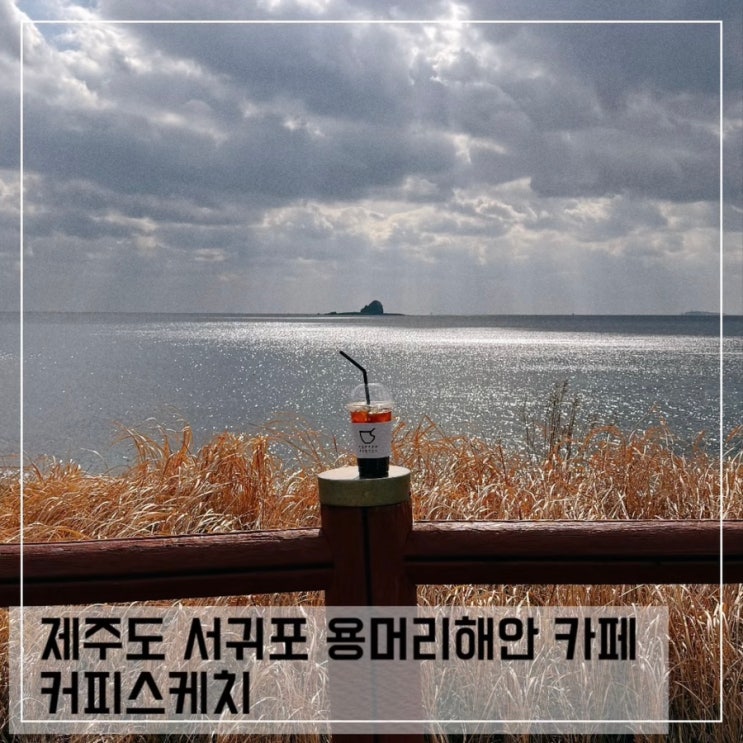  제주도 서귀포 산방산 뷰 좋은 카페 커피스케치 용머리해안 근처 카페 추천