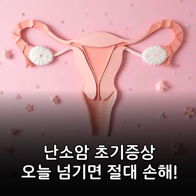 난소암 초기증상, 오늘 넘기면 손해입니다! 배가 ‘그냥’ 불편한 게 아닌 5가지 포인트