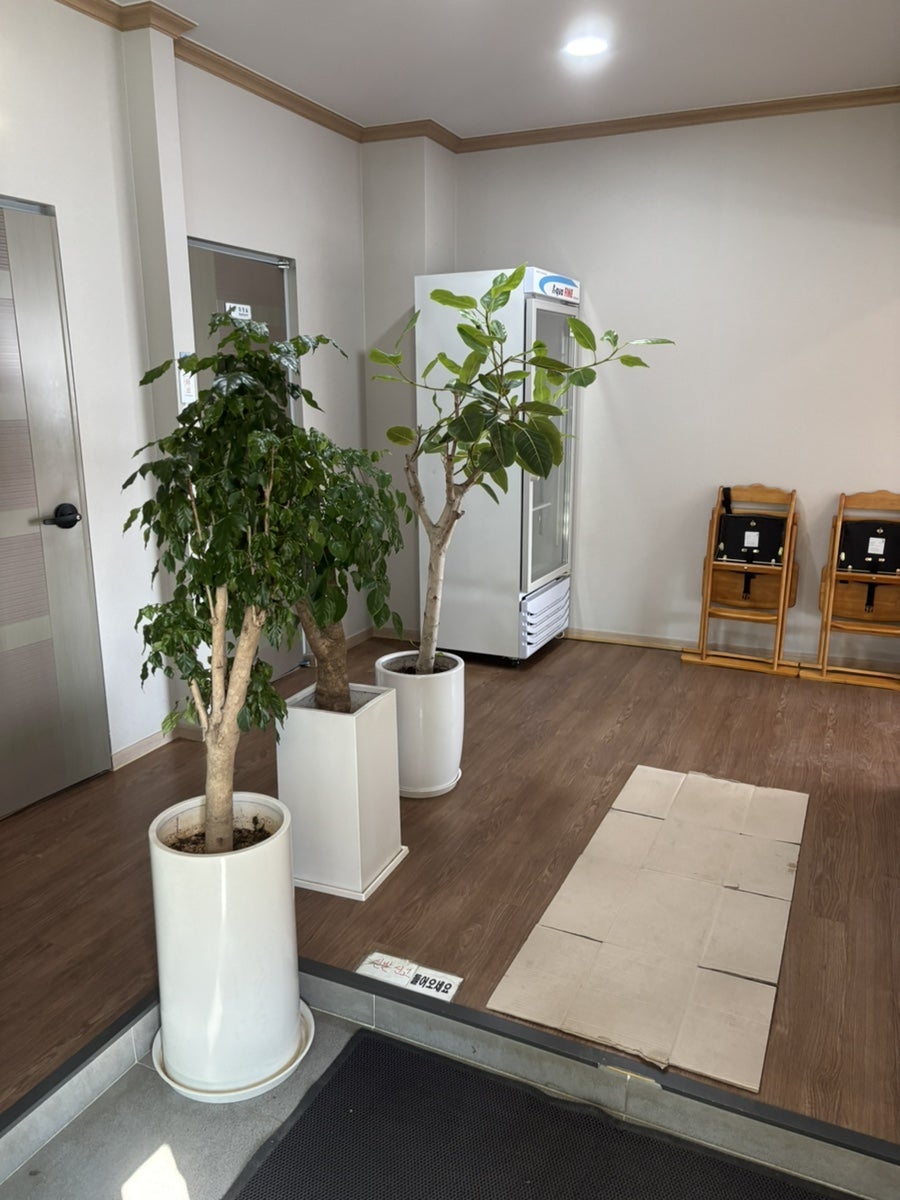 등마루 사진 5