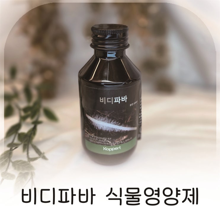  식집사가 사용해본 뿌리부터 관리하는 화분영양제 비디파바 식물영양제