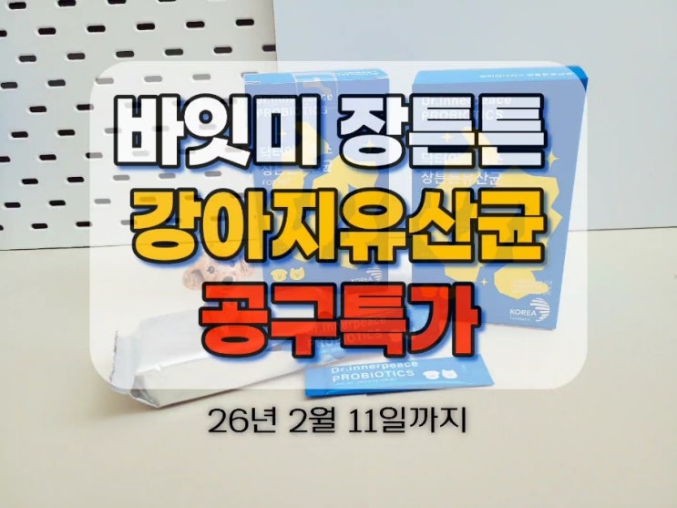  강아지 유산균 추천 노견 필수로 챙기는 애견영양제 공구