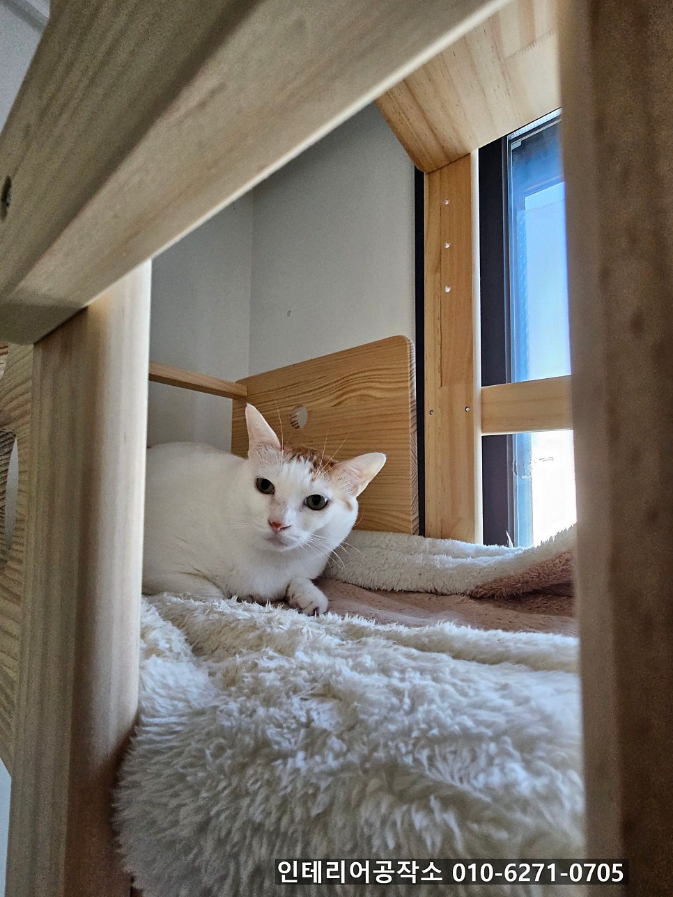 포르투나 사진 1