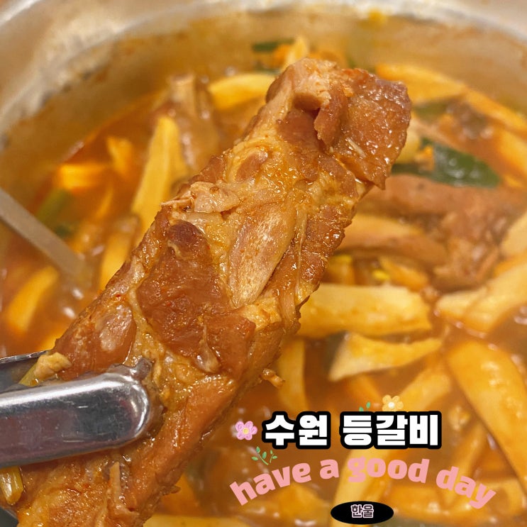  수원 인계동 맛집 등갈비찜 미친맛에 반해 또또또또 또간집 팔덕식당