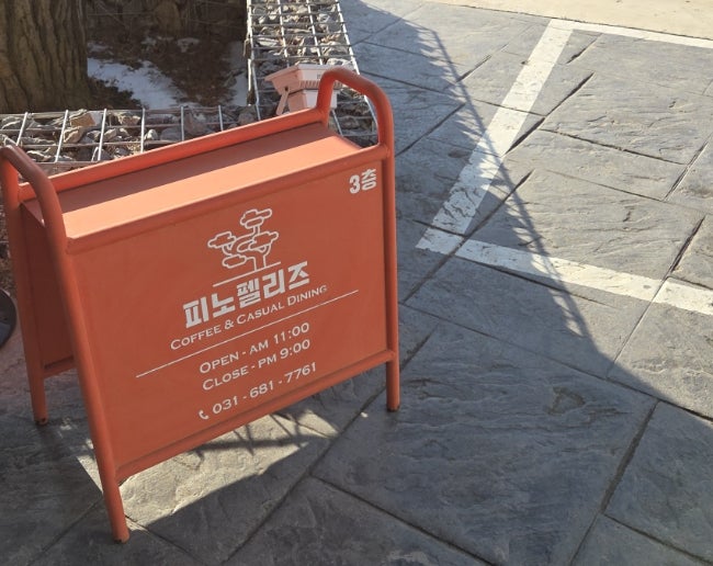 피노펠리즈 사진 3