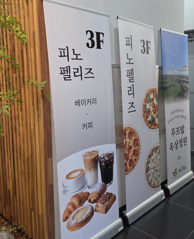 피노펠리즈 사진 6