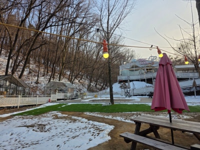 사진 7