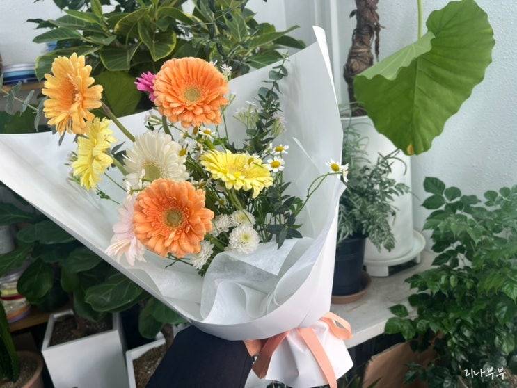  기분좋은 꽃집포스팅ㅣ제주 연동꽃집ㅣ주연플라워:)