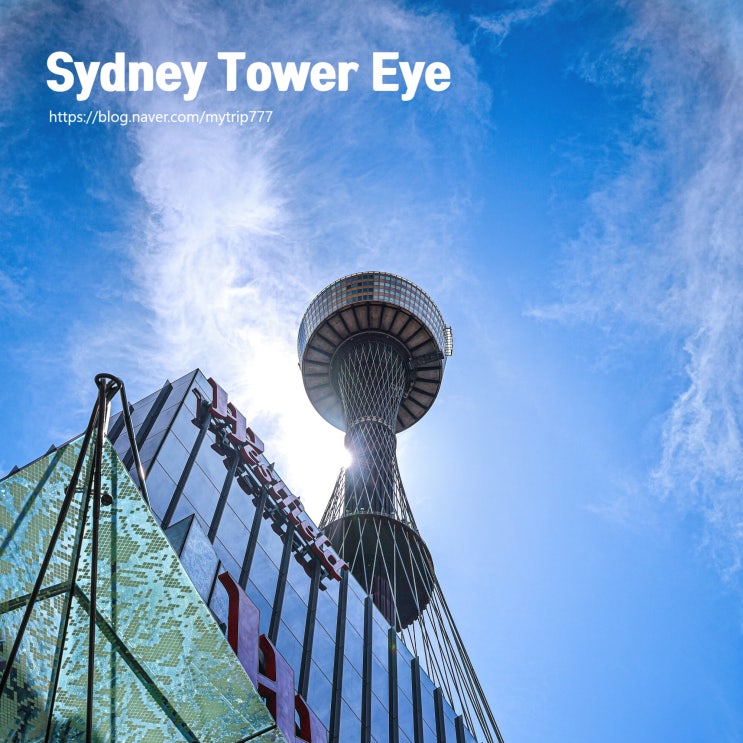  시드니 타워 전망대 Sydney Tower Eye 예약 가이드 | 일몰 보기 좋은 시간대 & 티켓 종류 정리