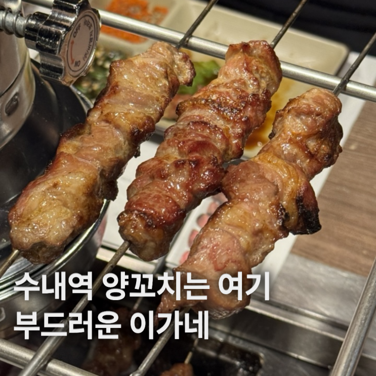  수내역 맛집 내돈내산 깔끔하고 부드러운 이가네양꼬치