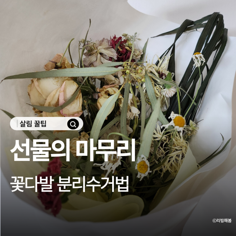생화 꽃다발 버리는 법 한 번에 정리해드립니다