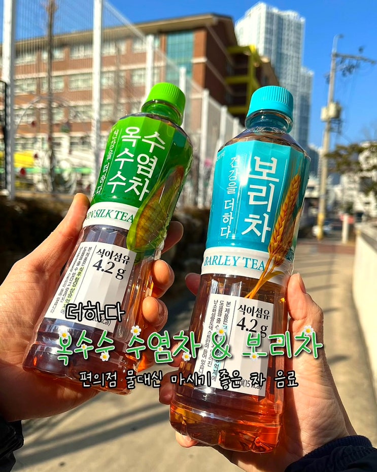  편의점 물대신 마시기 좋은 음료 더하다 옥수수수염차 보리차 후기