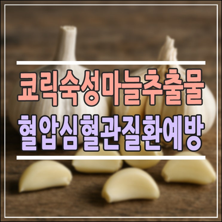 쿄릭 숙성마늘 추출물 효능 5가지와 고르는 법: 혈압 및 심혈관 건강 가이드