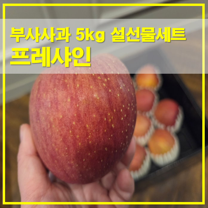  프레샤인 설선물세트 부사사과 5kg 16과 구성 정리