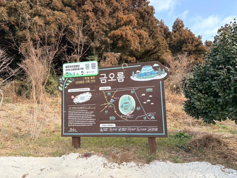 사진 5