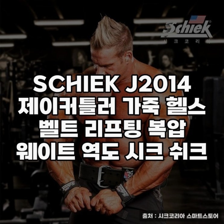  허리보호대 추천, SCHIEK J2014 제이커틀러 활용법