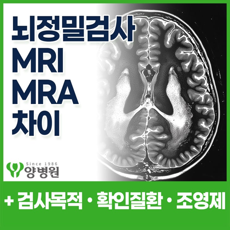  뇌 정밀검진에서 꼭 헷갈리는 MRI와 MRA 차이 정리! – 검사 목적 · 확인 질환 · 조영제 · 촬영 방식 한눈에 비교 가이드
