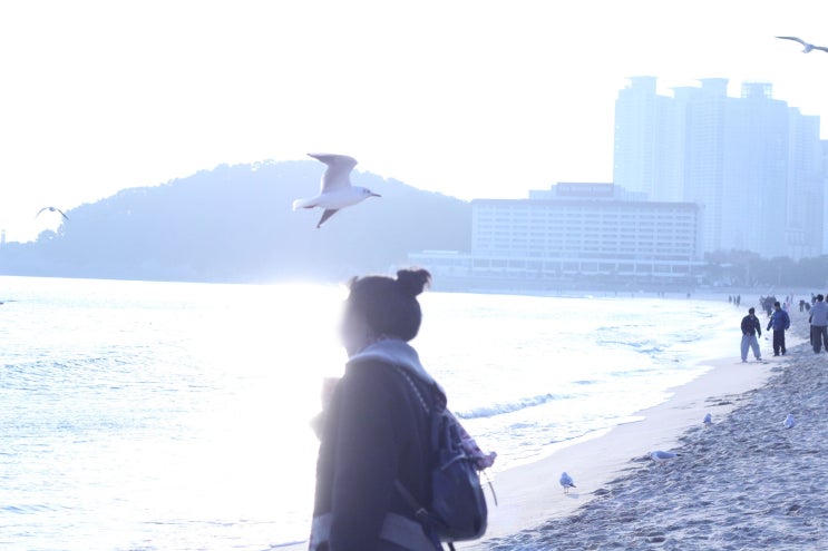  추운겨울 여행은 남쪽으로! 2박3일 부산 혼자 여행하기