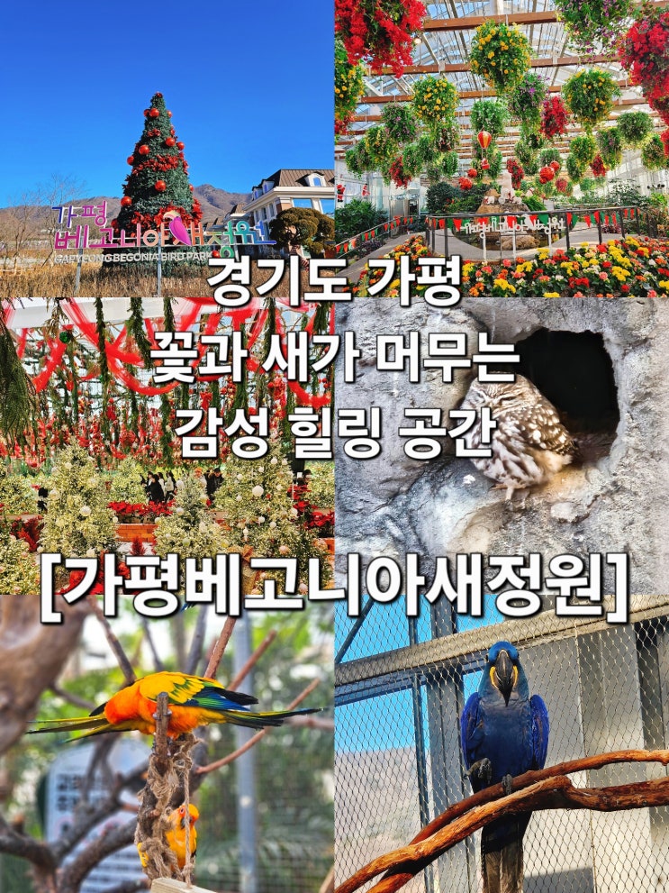  경기도 가평 꽃 빛 새 이어지는 온실 산책 '가평베고니아새정원'