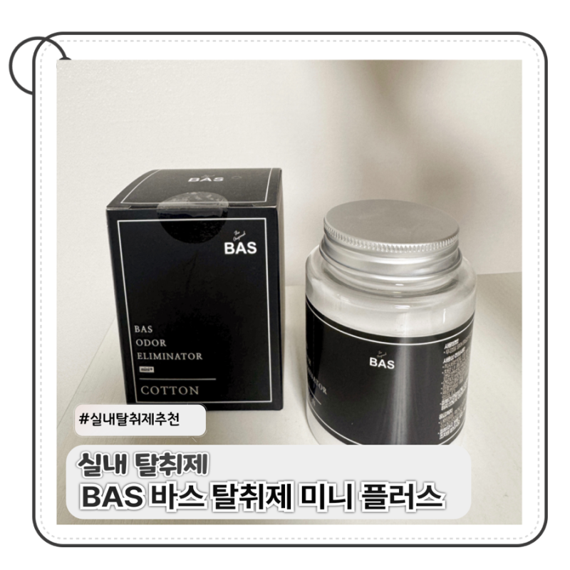 BAS 바스 탈취제 미니 플러스 아이있는 집 추천