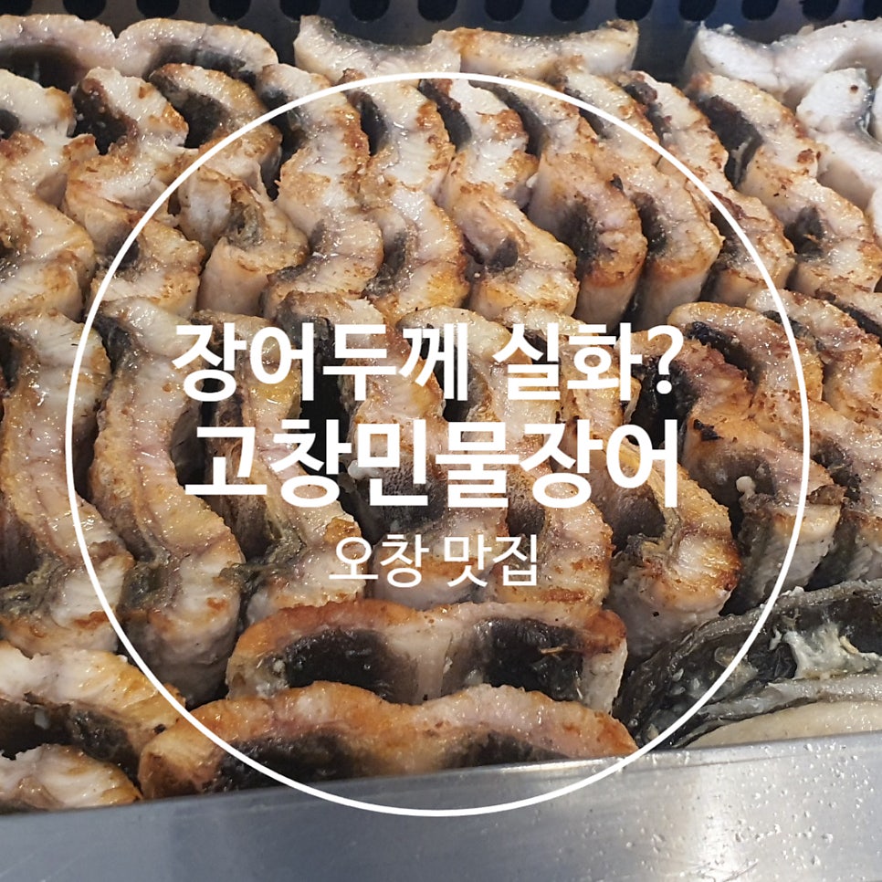 고창풍천민물장어 사진 1