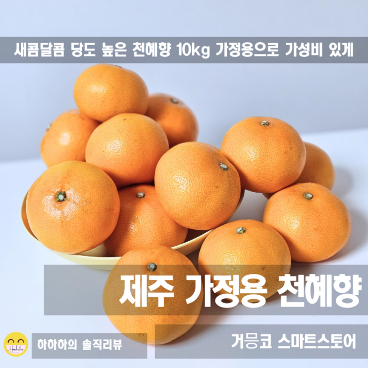  천혜향 보관법! 제주 거믕코 고당도 가정용 천혜향10kg 가성비박스