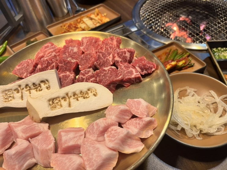  대전 도안동 맛집 가수원집 도안동본점 리뷰: 깍두기 모양 고기의 매력