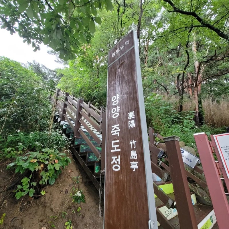 사진 2