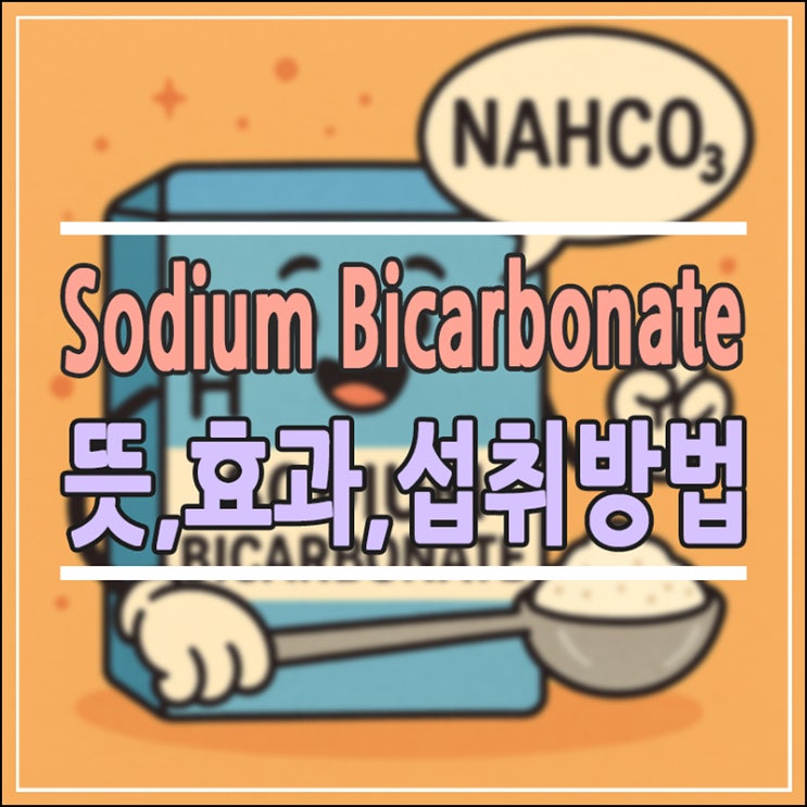 Sodium Bicarbonate(탄산수소나트륨) 완벽 가이드: 뜻, 효과부터 올바른 섭취방법까지 (Feat. 중고등 과학 원리)