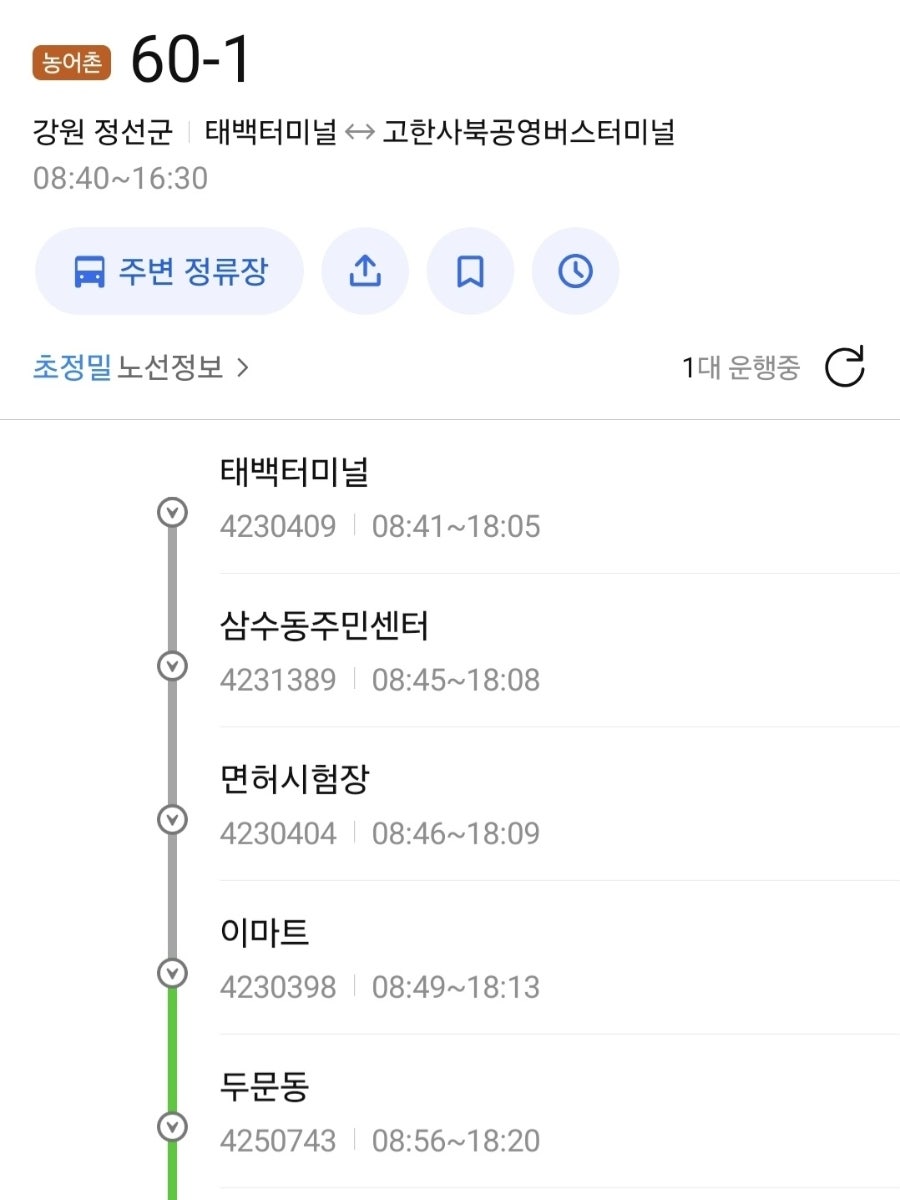 하이원리조트 눈썰매장 사진 3