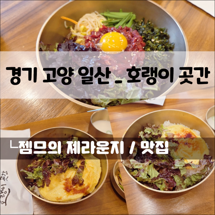 일산 킨텍스 근처 맛집, 호랭이 곳간｜일산 점심 고민 끝