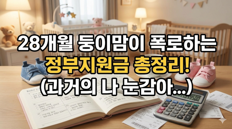  [임신/출산] 28개월 남매둥이맘이 복기한 정부지원금 총정리 & 현실 비용 (ft. 과거의 나에게)