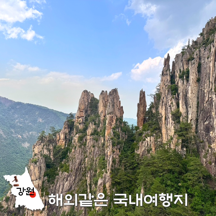  여기가 한국? 여권없이 떠나는 해외 감성 강원도 여행지 추천 5곳