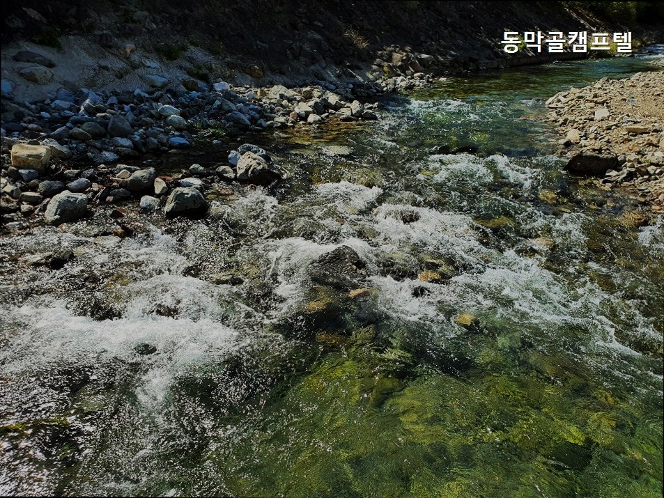 동막골캠프텔 사진 1