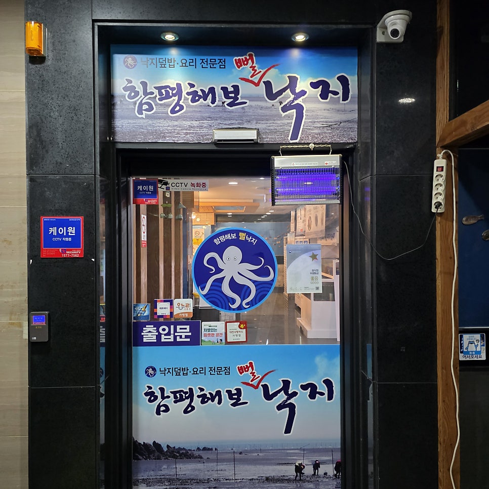 함평해보뻘낙지 사진 4