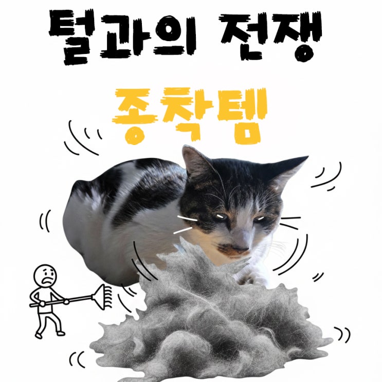  고양이 털 청소 도구 추천? 다필요 없고 0원이면 해결됨