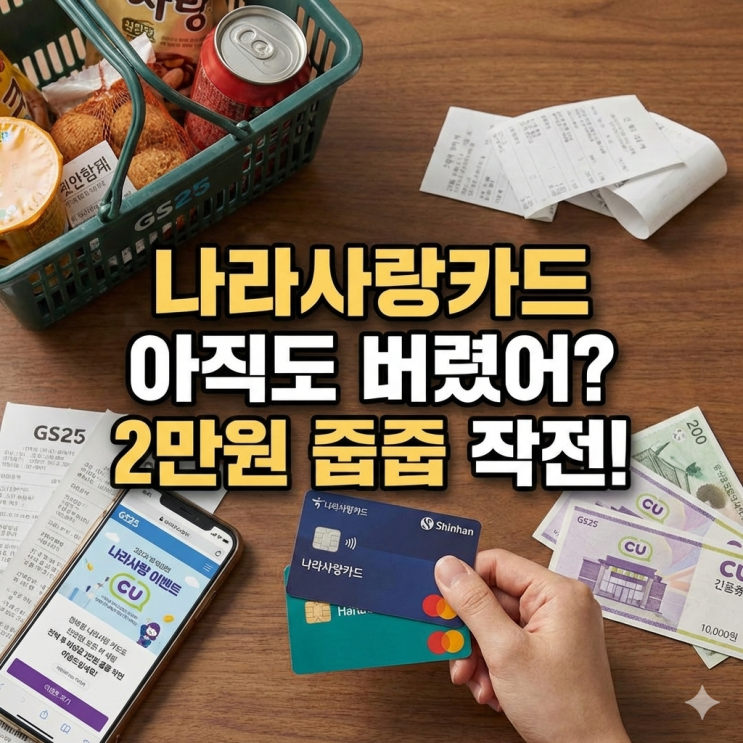  [나라사랑카드] 30대 쌍둥이 아빠의 소소한 비상금 줍줍 작전 (feat. 신한, 하나)
