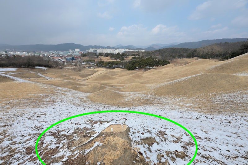 사진 3