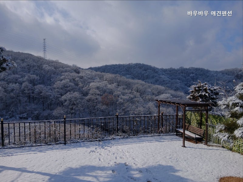 사진 4