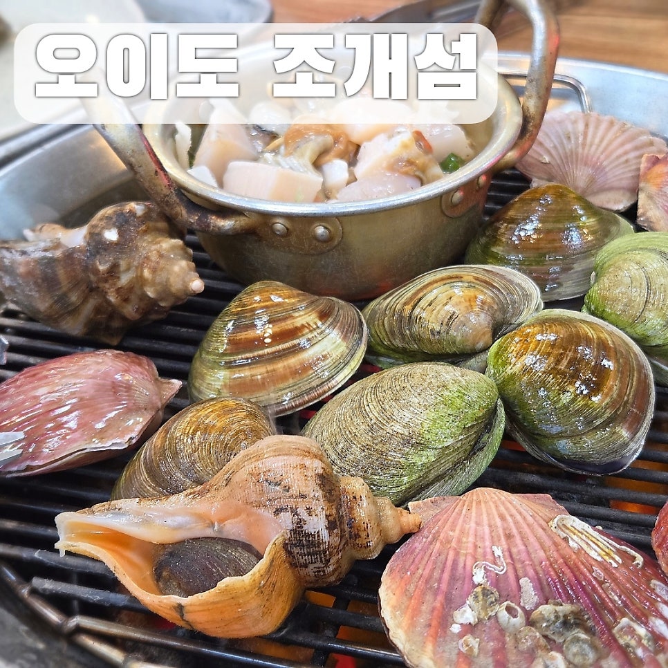 조개섬 사진 1