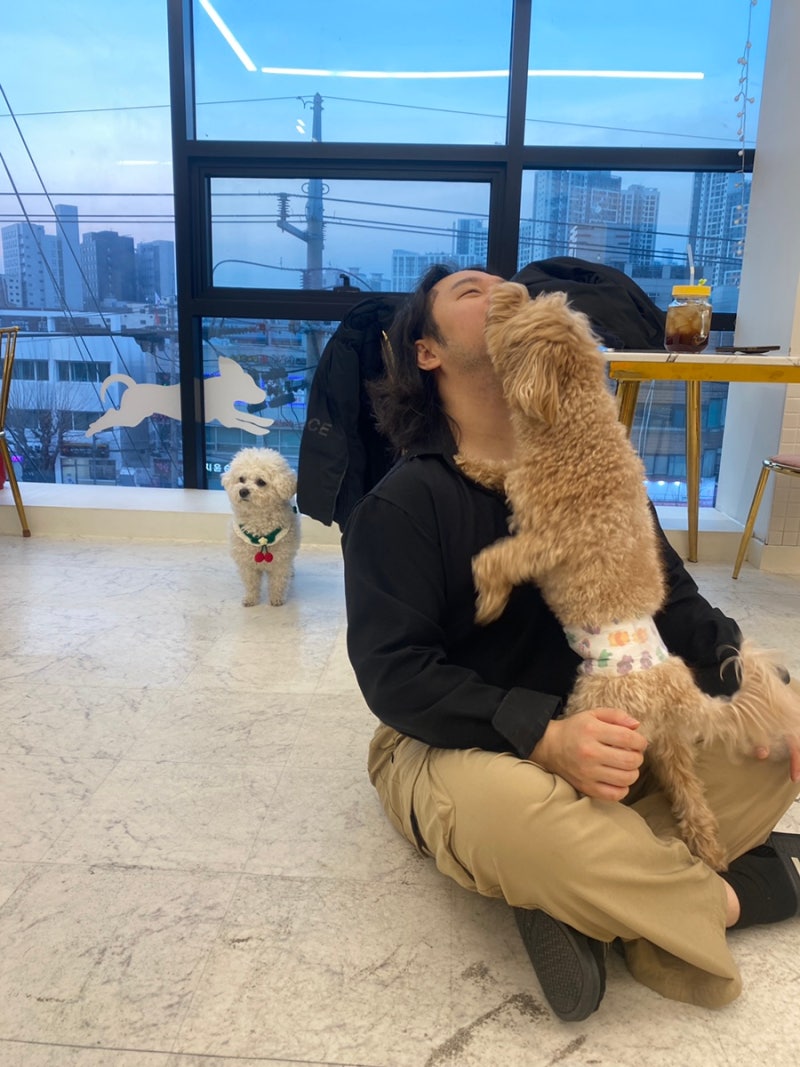 사진 6