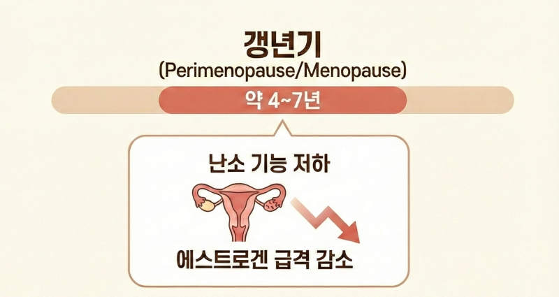 [갱년기] 참아야 하는 시간이 아니라 '관리'해야 하는 골든타임