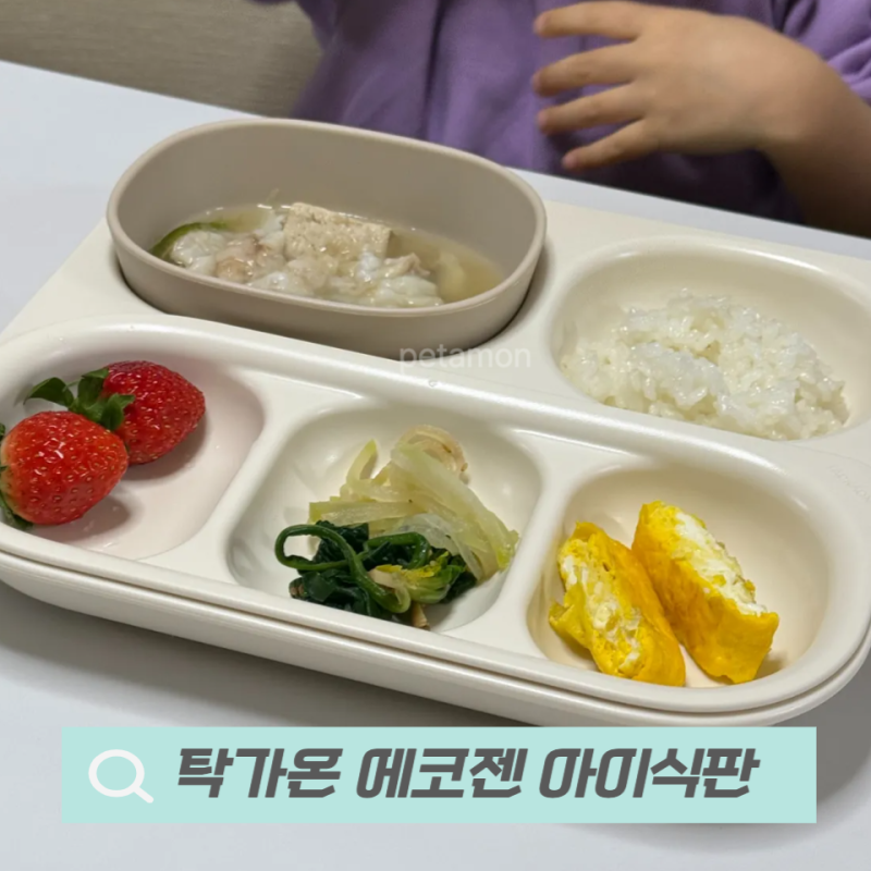 ｜탁가온 에코젠｜아이 식판 추천 구성 !내돈내산 리뷰